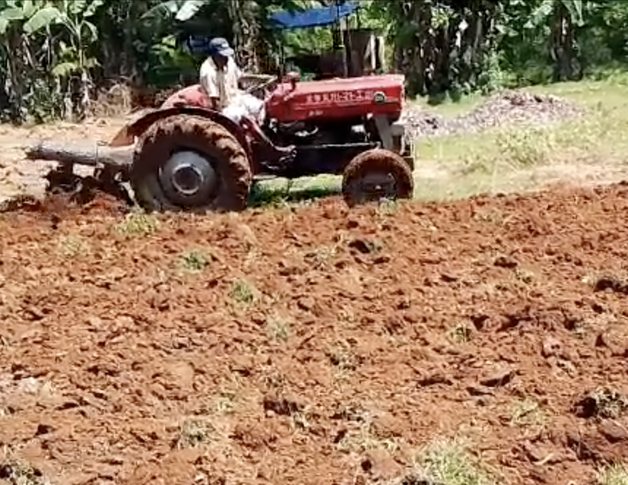 Farming at Nuffield School