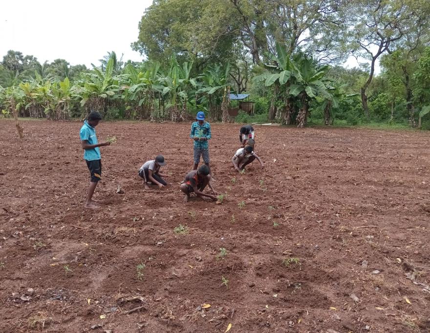 Farming at Nuffield School