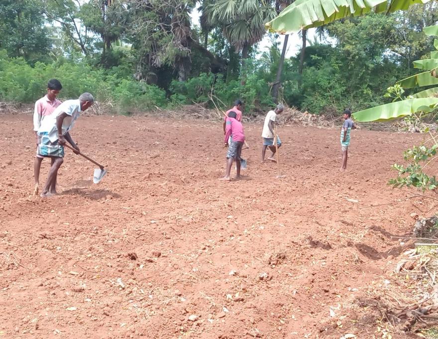 Farming at Nuffield School