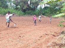 Farming at Nuffield School
